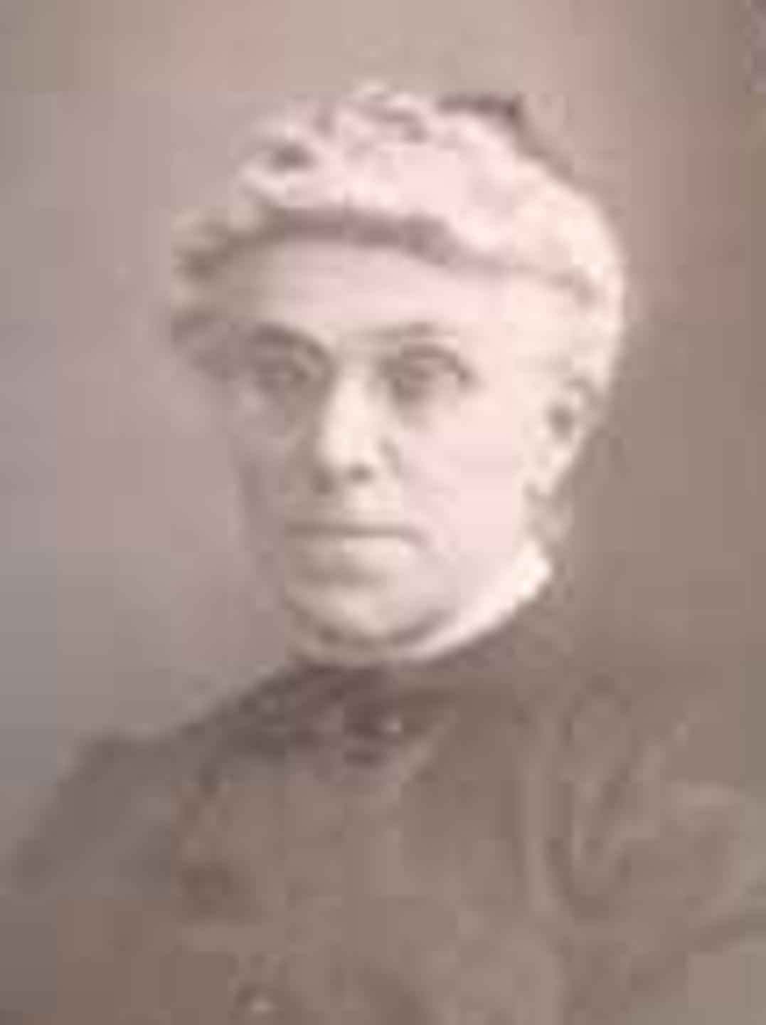 Ann Long Didsbury (1842 - 1924) Profile